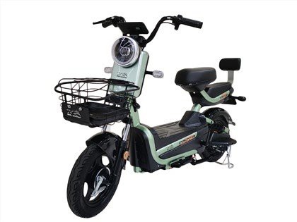 Hydralic Absorber Steel Body Electric Bike