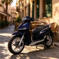 Vintage Commuter Electric Scooter Birgir OEM / ODM